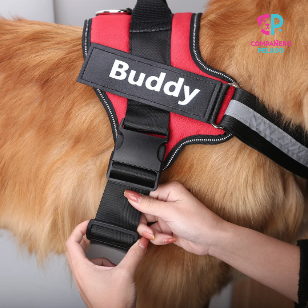 Arnés Personalizado Con Nombre Y Teléfono