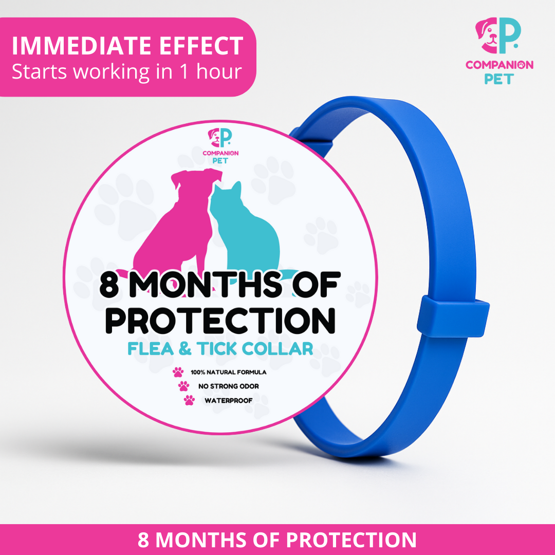 Special Offer: Buy 1 Flea & Tick Collar, Get 2 – Up to 8 Months of Protection – Adjustable for Dogs & Cats – 70cm