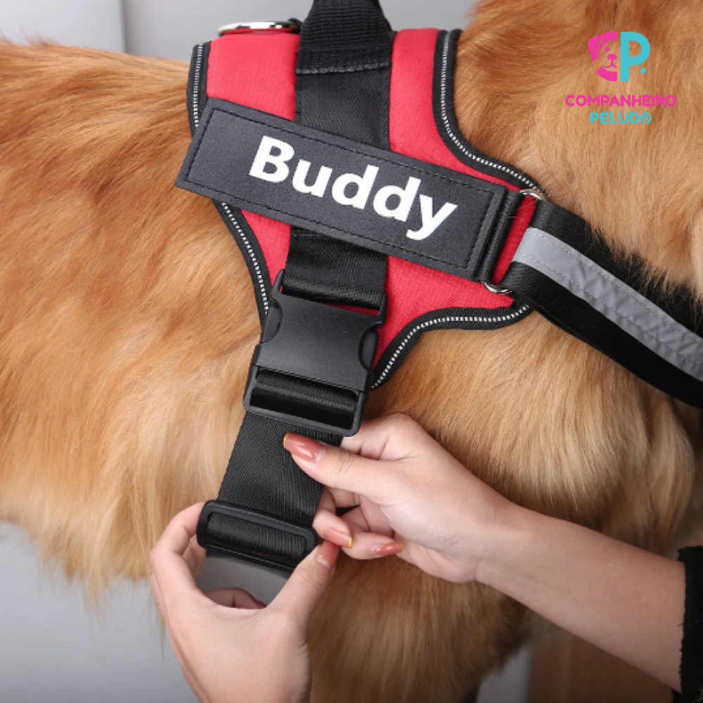 Arnés Personalizado Con Nombre Y Teléfono