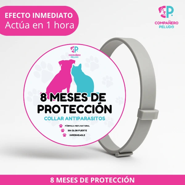 Promoción Especial: Compra 1 Collar Antiparasitario y Llévate 2 – 8 Meses de Protección – Ajustable para Perros y Gatos – Talla 70cm