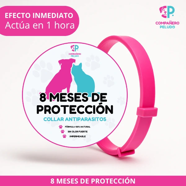 Promoción Especial: Compra 1 Collar Antiparasitario y Llévate 2 – 8 Meses de Protección – Ajustable para Perros y Gatos – Talla 70cm