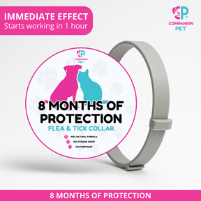 Special Offer: Buy 1 Flea & Tick Collar, Get 2 – Up to 8 Months of Protection – Adjustable for Dogs & Cats – 70cm