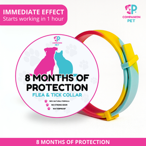 Special Offer: Buy 1 Flea & Tick Collar, Get 2 – Up to 8 Months of Protection – Adjustable for Dogs & Cats – 70cm