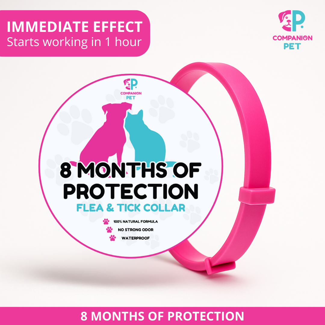 Special Offer: Buy 1 Flea & Tick Collar, Get 2 – Up to 8 Months of Protection – Adjustable for Dogs & Cats – 70cm