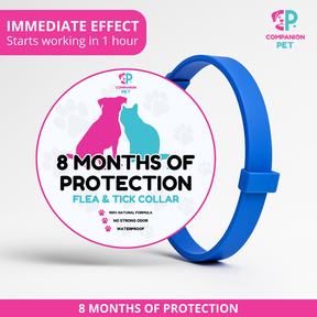 Special Offer: Buy 1 Flea & Tick Collar, Get 2 – Up to 8 Months of Protection – Adjustable for Dogs & Cats – 70cm