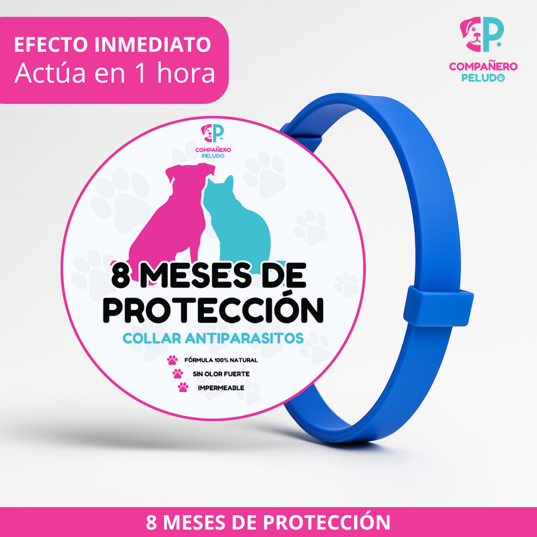 Collar Antiparasitario Ajustable Para Perros y Gatos, Protección Duradera Durante 8 Meses - Talla 70 cm