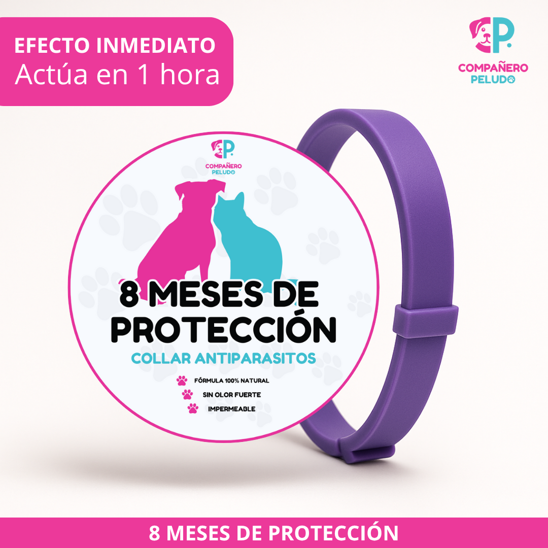 Collar Antiparasitario Ajustable Para Perros y Gatos, Protección Duradera Durante 8 Meses - Talla 70 cm