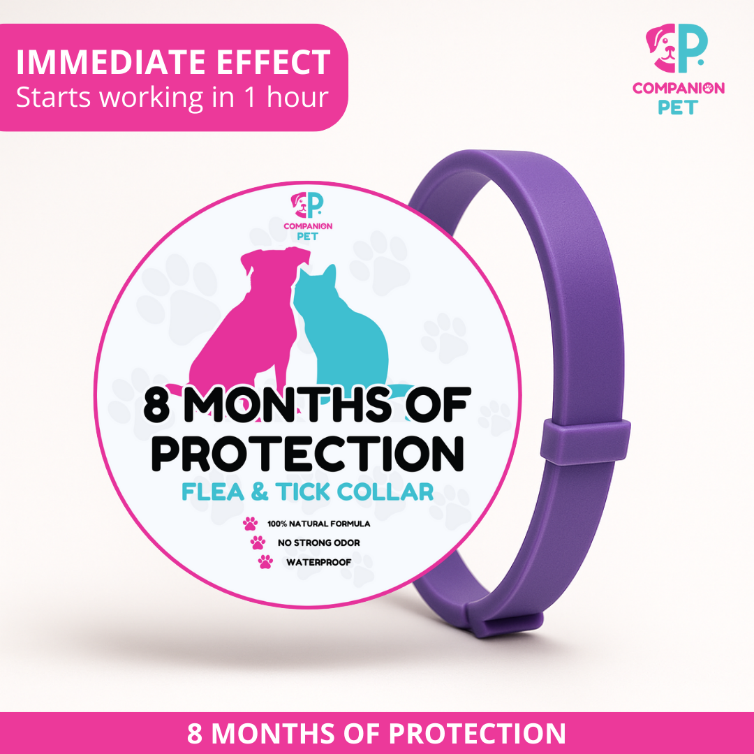 Special Offer: Buy 1 Flea & Tick Collar, Get 2 – Up to 8 Months of Protection – Adjustable for Dogs & Cats – 70cm