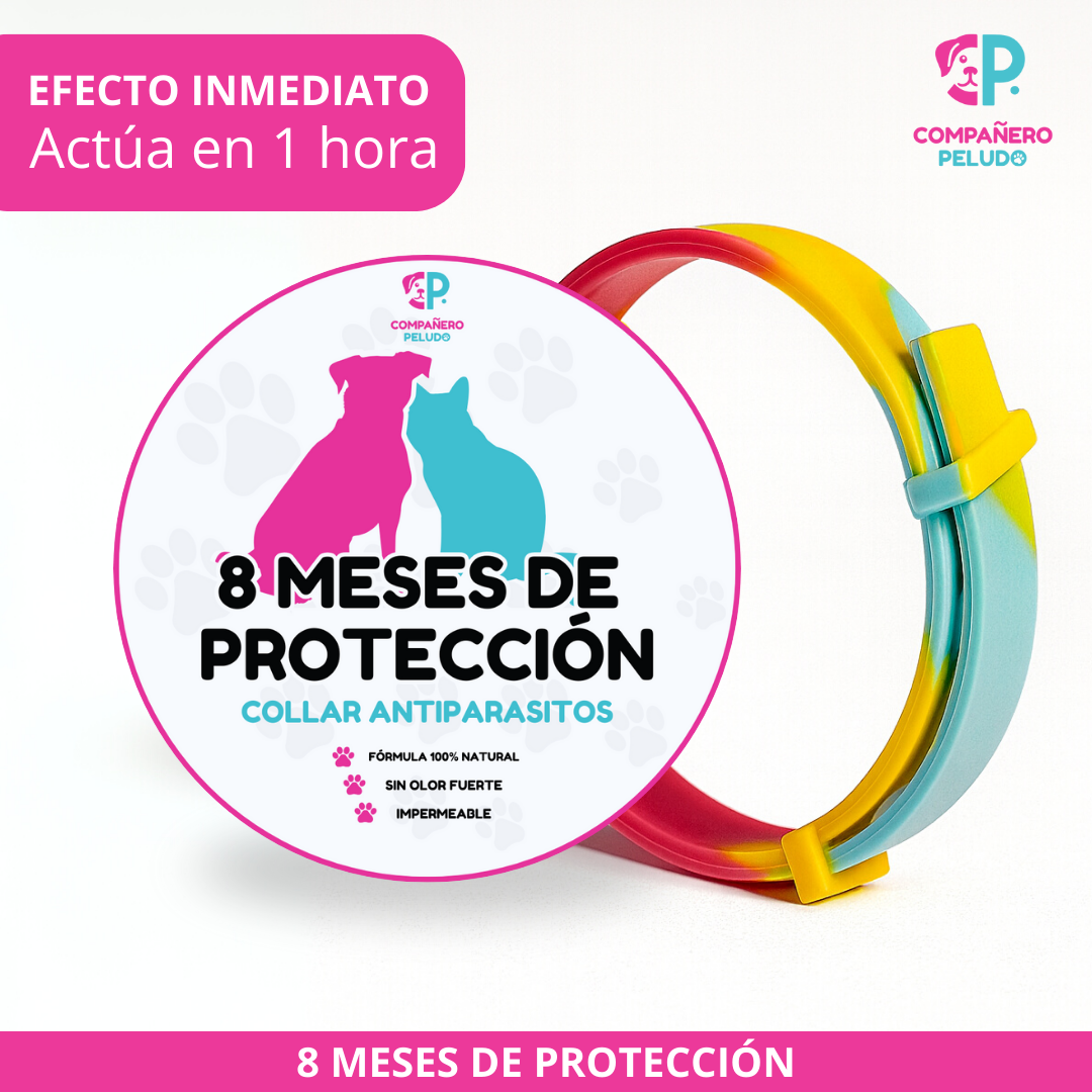 Collar Antiparasitario Ajustable Para Perros y Gatos, Protección Duradera Durante 8 Meses - Talla 70 cm