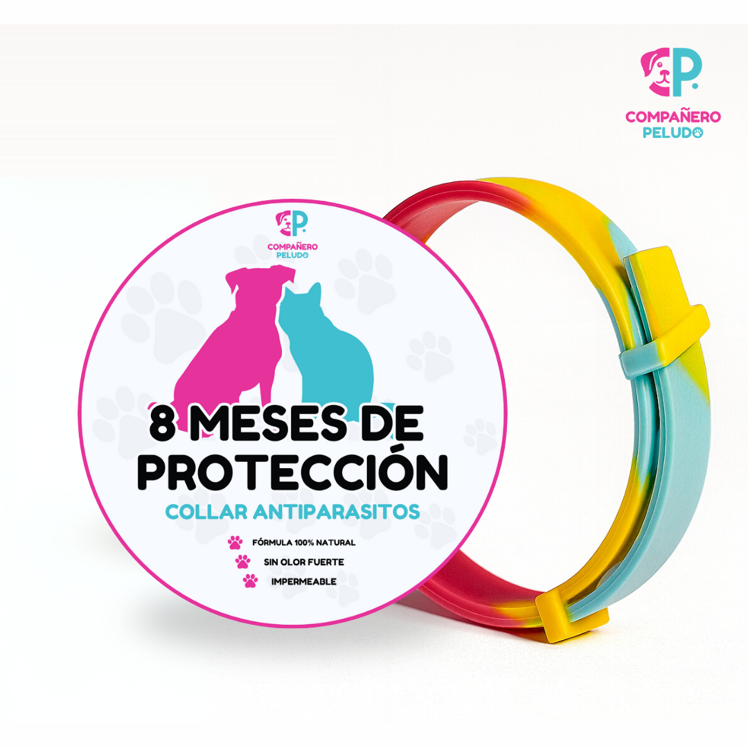 Pack de 4 collares antiparasitarios Compañero Peludo